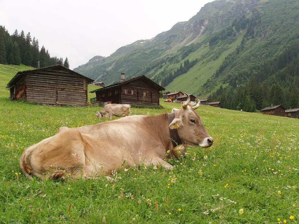 Appart Fernblick Gaschurn Exterior foto